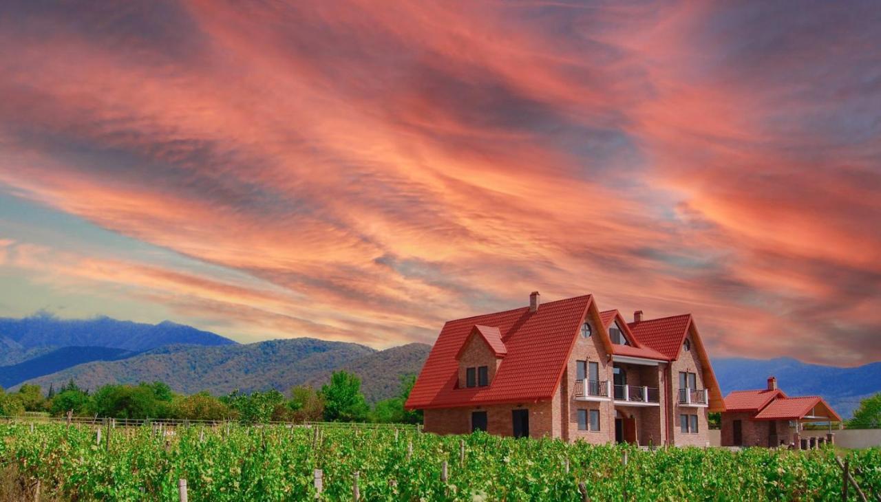 Begaso Family Winery Kvareli Exterior foto